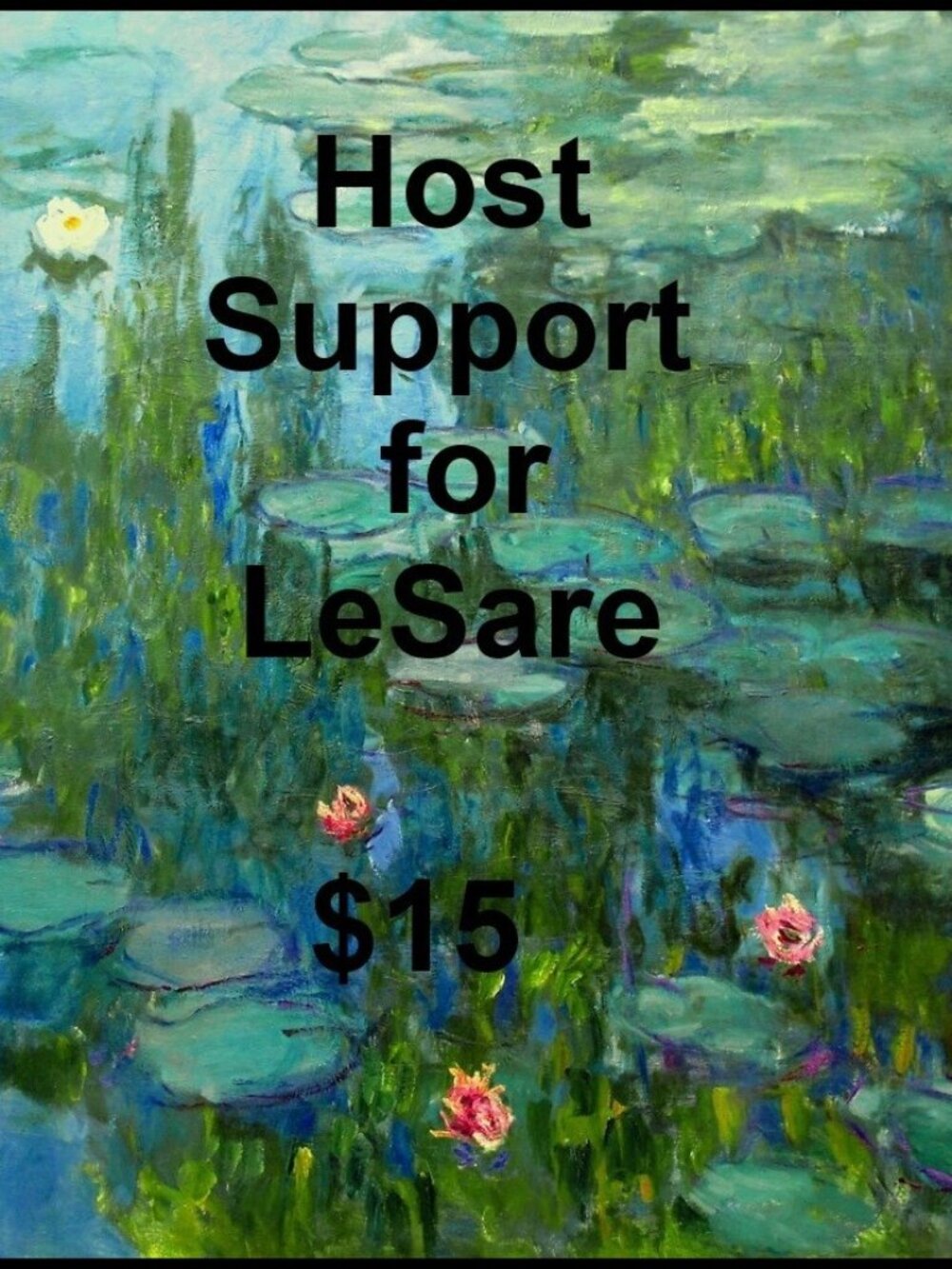 HOST SUPPORT